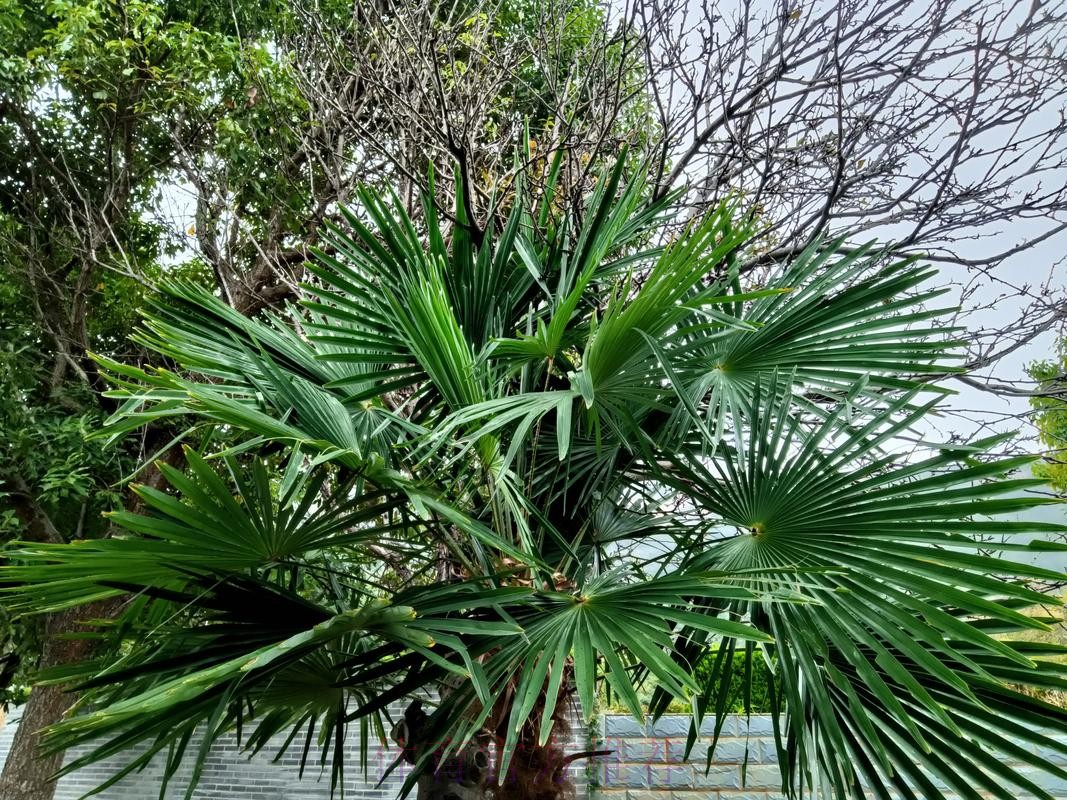 布拉贝克“以退为进” 阿提亚“掌控全局”